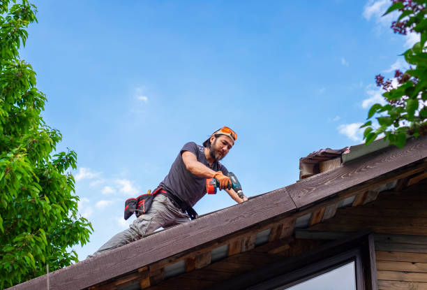 Best Roof Insulation Installation  in Dayton, VA